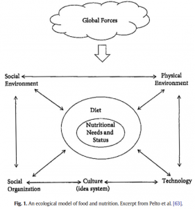 ecological nutritional